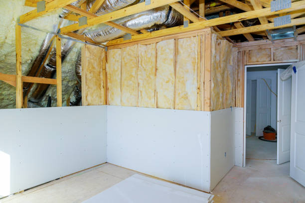 Best Eco-Friendly Insulation in North Syracuse, NY