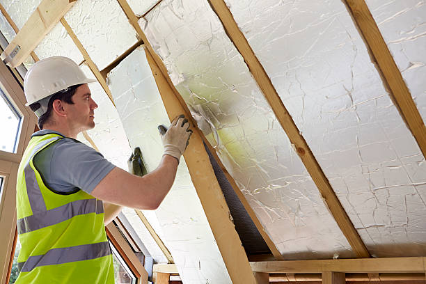 Best Specialized Insulation Services in North Syracuse, NY